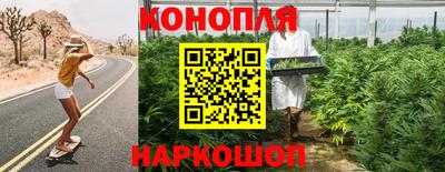 сатива Ирбит