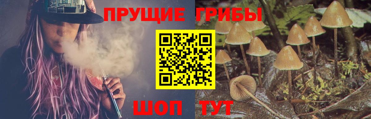 Галлюциногенные грибы GOLDEN TEACHER  Вход с VPN  Кулебаки  Галлюциногенные грибы Cubensis 