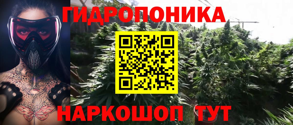 Каннабис LSD WEED  Канабис THC 21%  Кулебаки  Вход с VPN  Конопля тримм 